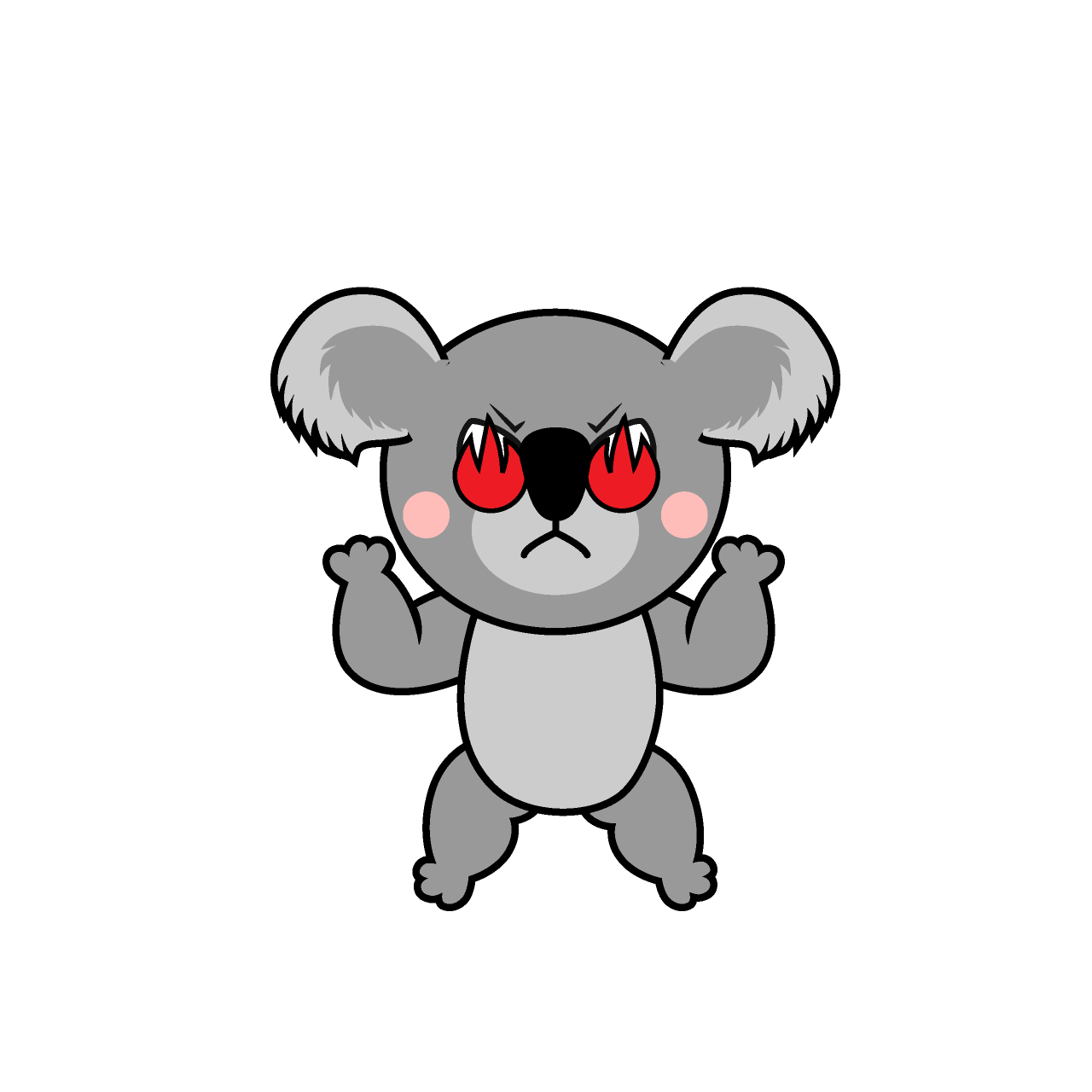 Koala Entusiasmo