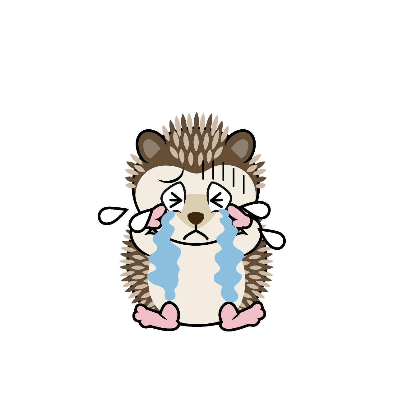 Erizo Llorando