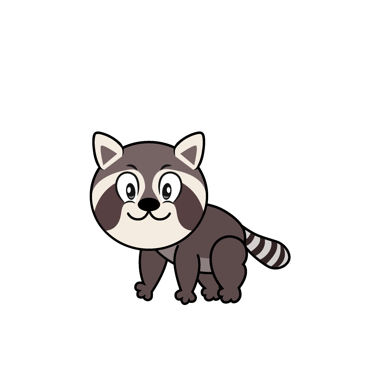 Raccoon