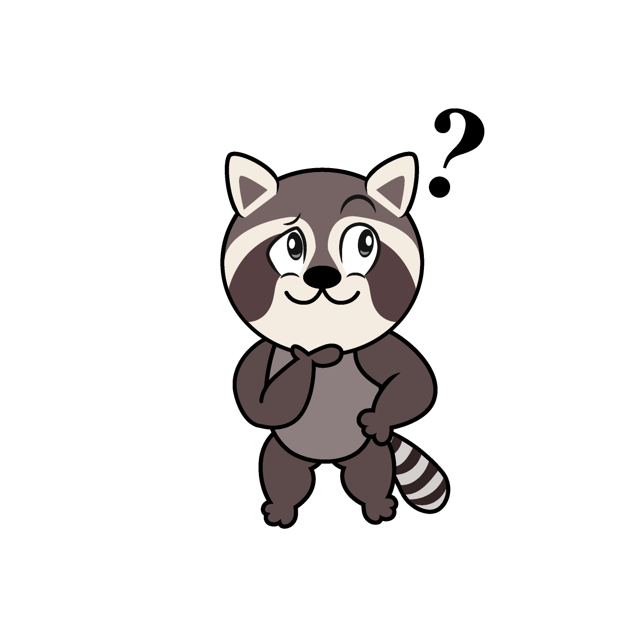 Thinking Raccoon