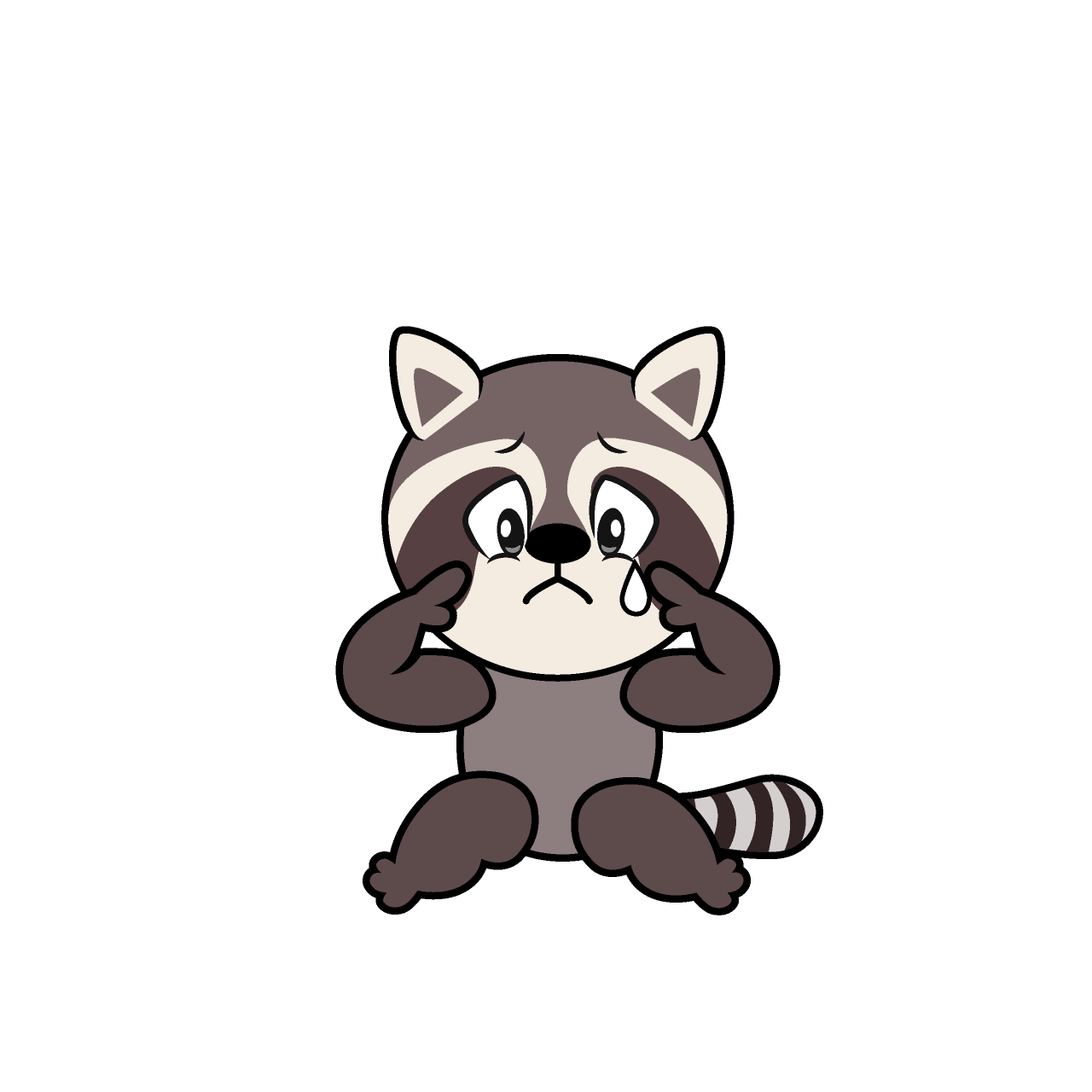 Sad Raccoon