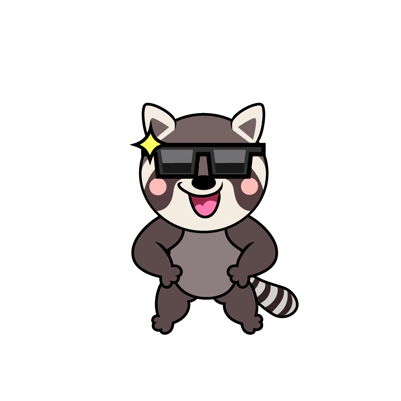 Cool Raccoon