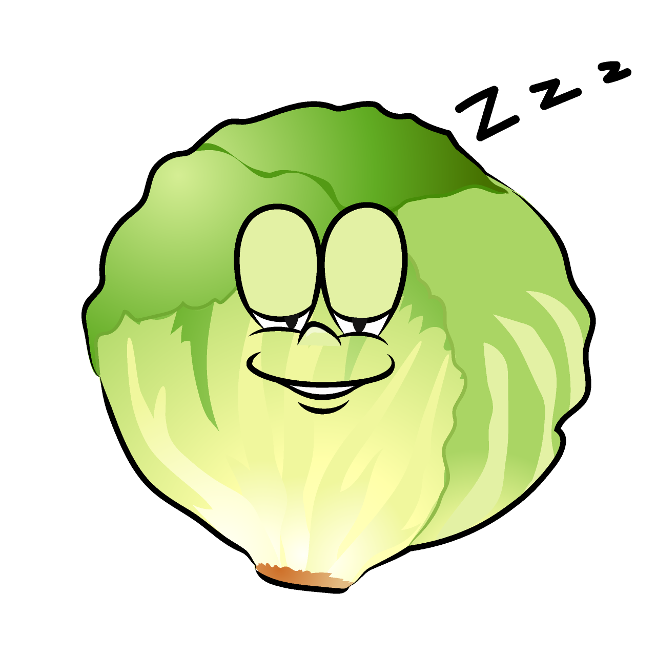 Lechuga Durmiendo