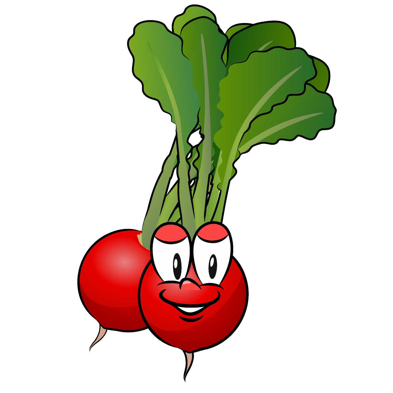 Radish