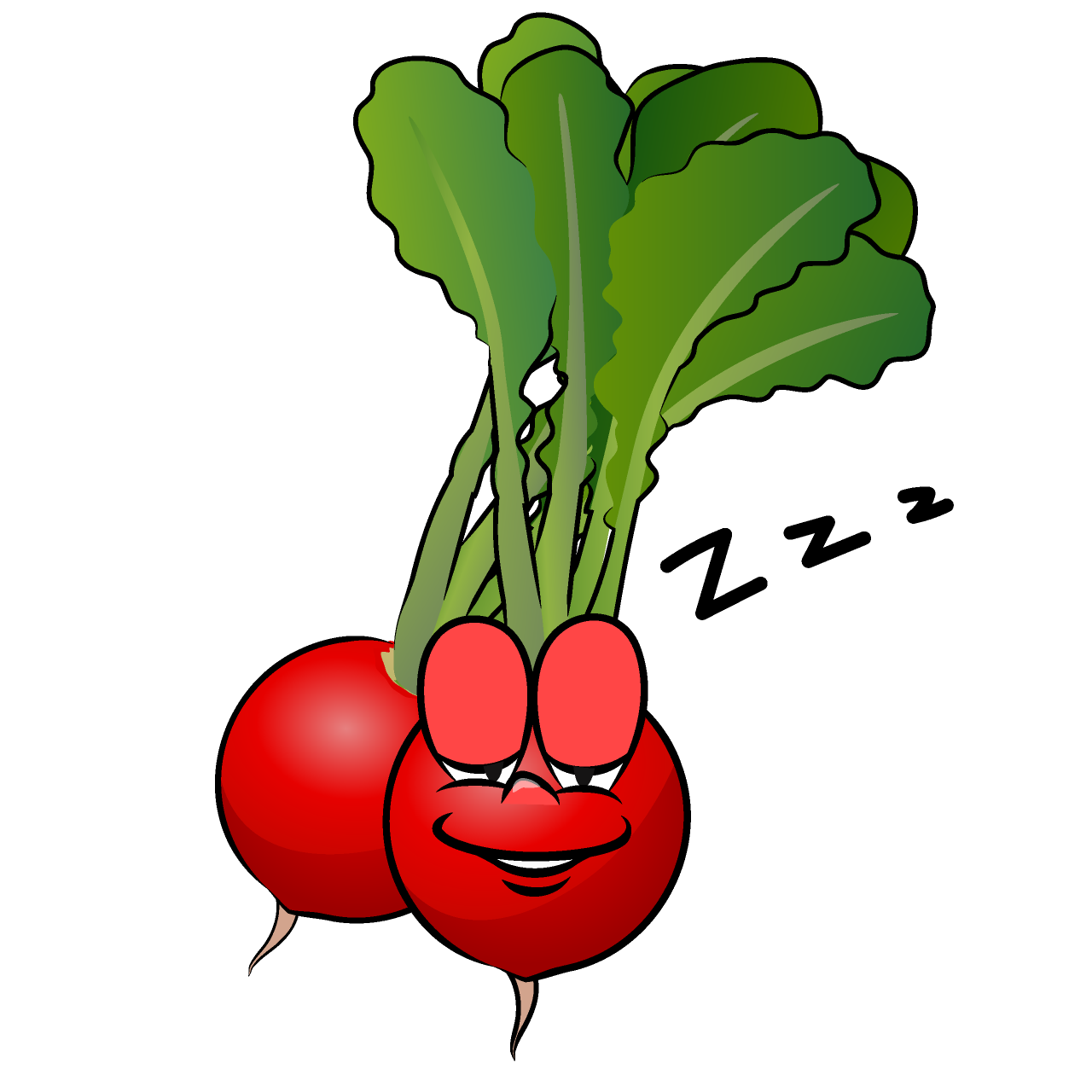 Sleeping Radish