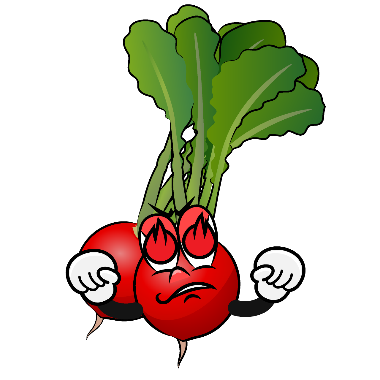 Enthusiasm Radish