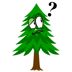 Thinking Pine Tree