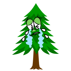 Crying Pine Tree