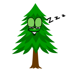 Sleeping Pine Tree