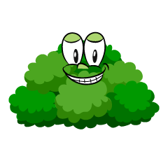 Grinning Bush