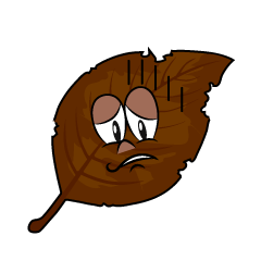 Depressed Dead Leaf