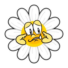 Sad Daisy