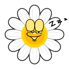 Sleeping Daisy