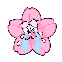 Crying Cherry Blossom