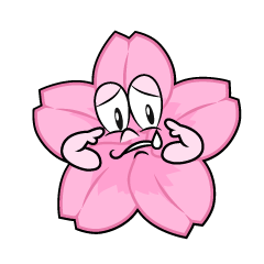 Sad Cherry Blossom