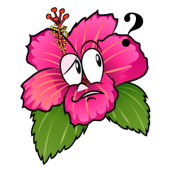 Thinking Hibiscus