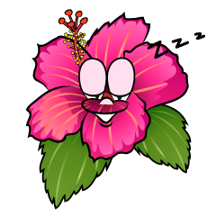 Sleeping Hibiscus
