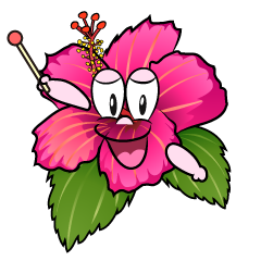 Hibisco Hablando