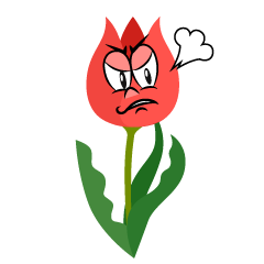 Angry Tulip