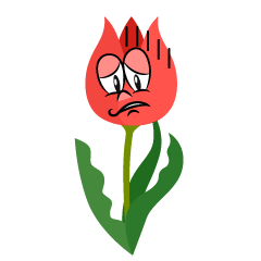 Depressed Tulip