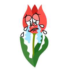 Crying Tulip