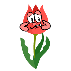 Sad Tulip