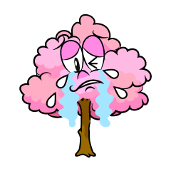 Crying Cherry Tree