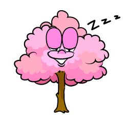 Sleeping Cherry Tree