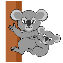 Koala Parent and Child