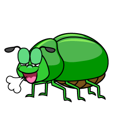 Relaxing Beetle