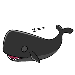 Sleeping Sperm Whale