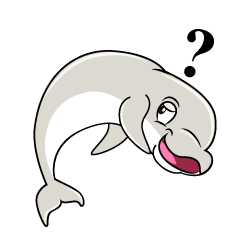 Thinking Beluga Whale