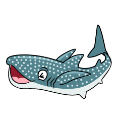 Laughing Whale Shark