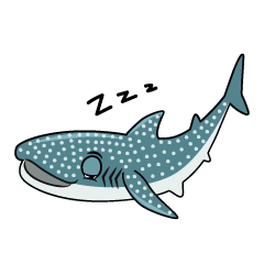 Sleeping Whale Shark