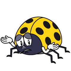 Troubled Yellow Ladybug