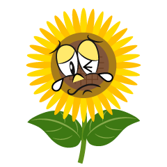 Crying Sunflower