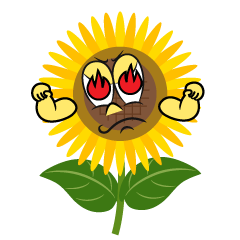 Burning Sunflower