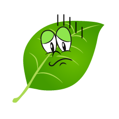 Depressed Leaf