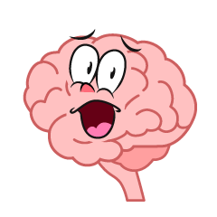 Surprising Brain