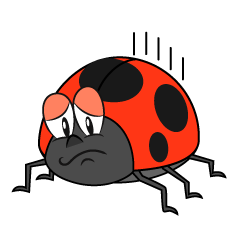 Depressed Ladybug