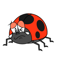 Crying Ladybug