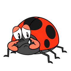Sobbing Ladybug