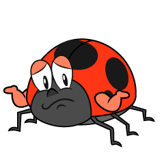 Troubled Ladybug