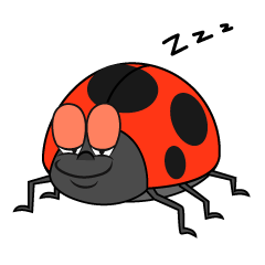 Sleeping Ladybug