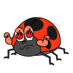 Burning Ladybug