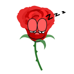 Sleeping Rose