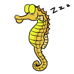Sleeping Seahorse