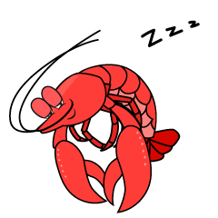 Sleeping Lobster
