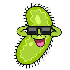 Bacteria with Sunglasses