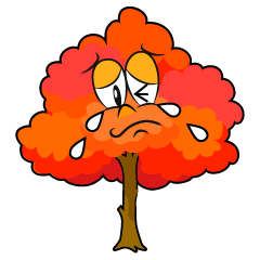 Crying Fall Tree